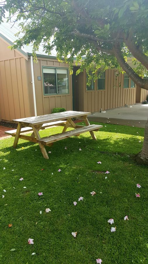 Catlins Area Motel Owaka Extérieur photo